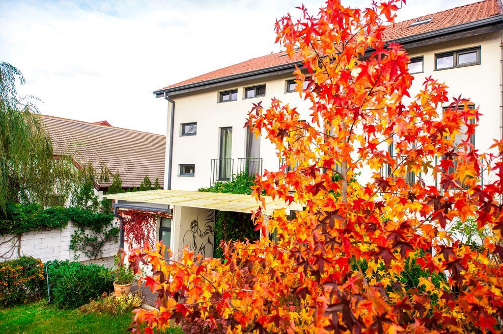 May Residence Dumbravita  Bagian luar foto