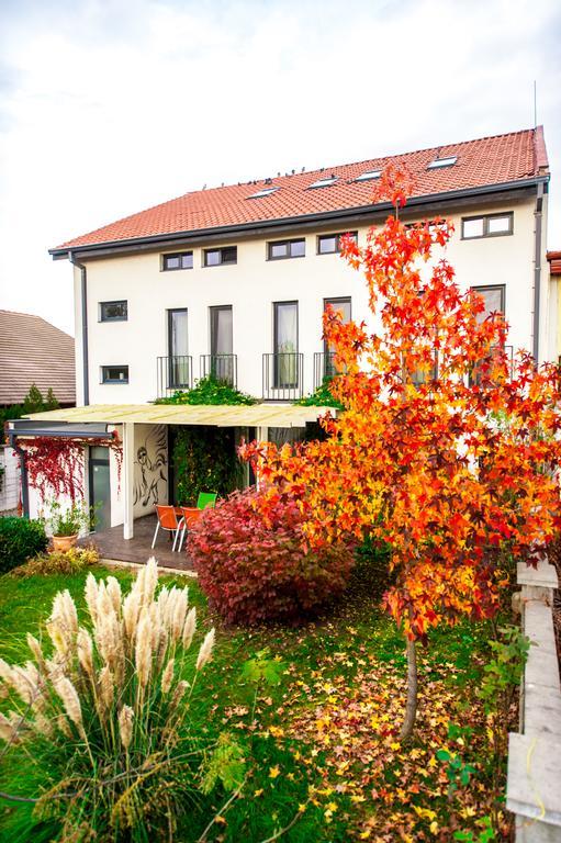 May Residence Dumbravita  Bagian luar foto