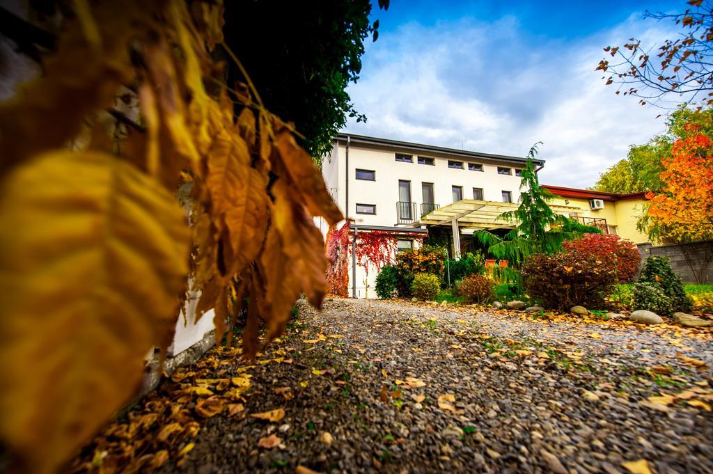 May Residence Dumbravita  Bagian luar foto