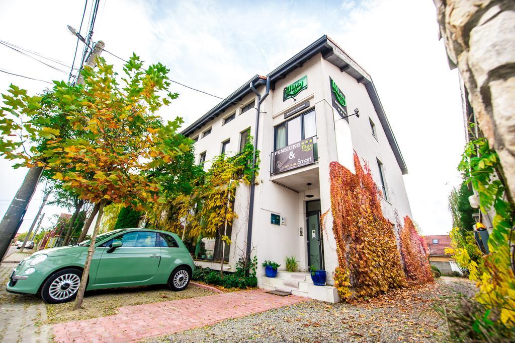 May Residence Dumbravita  Bagian luar foto